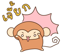 ลายที่ 27