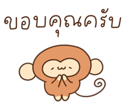 ลิงนุ่มฟู รูปที่ 15