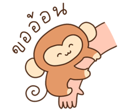 ลายที่ 49