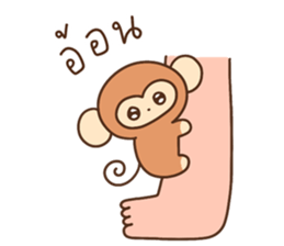 ลายที่ 51