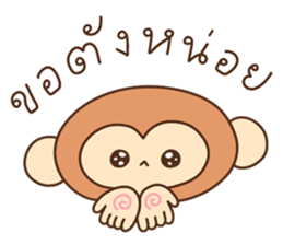 ลายที่ 53