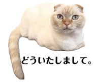 825380886