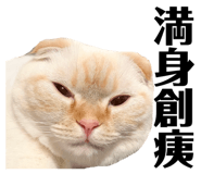825380891