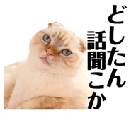 825380892