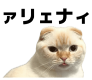 825380896