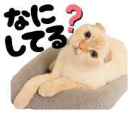 825380899
