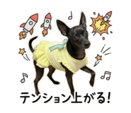 825386790