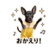 825386804