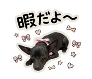 825386818