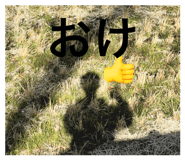 825395373