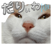 825404994