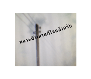 825415812