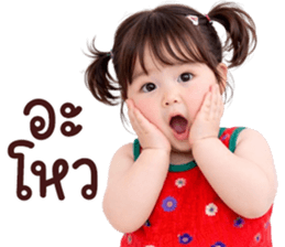 ลายที่ 43