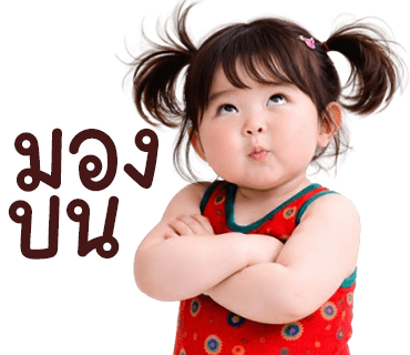 ลายที่ 33
