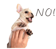 825429426