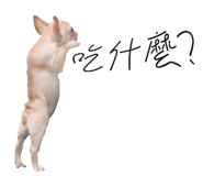 825429428