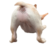 825429429