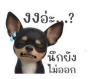 825441627
