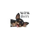 825441628