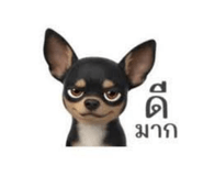 825441636