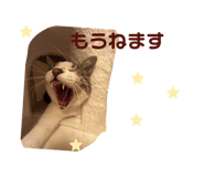 825460875