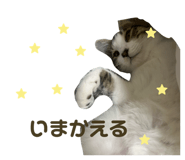 825460881
