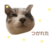 825460882