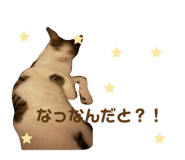 825460883