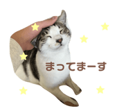825460885