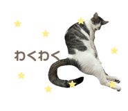 825460887