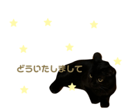 825460897