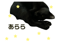825460899