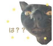 825460900