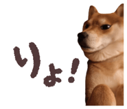 825488538