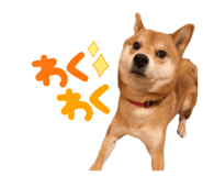 825488539