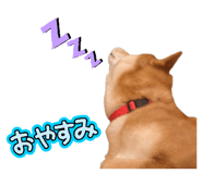 825488541