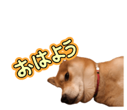 825488542