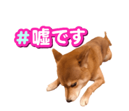 825488548