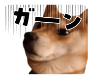 825488550
