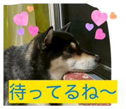 825489304