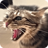 825520095