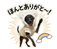825537980