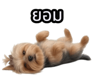 825545341