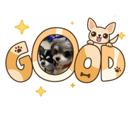 825555437