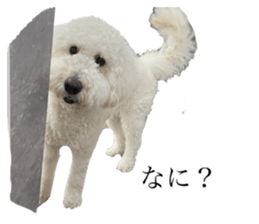 825555890