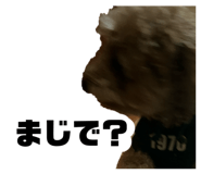 825564188