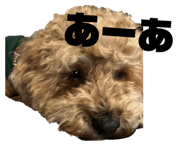 825564199