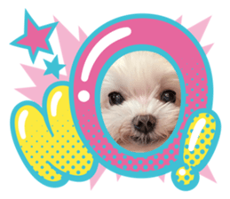 825595216