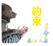 825599279