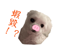 825612521